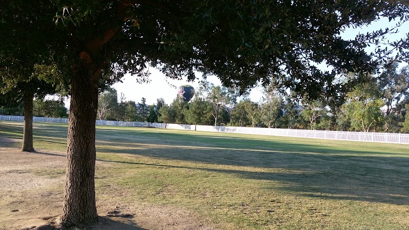 Abby Reinke Elementary photo