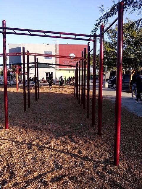Alliance Virgil Roberts Leadership Academy photo