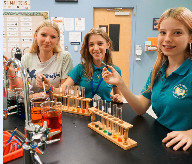 PINELLAS ACADEMY OF MATH AND SCIENCE photo